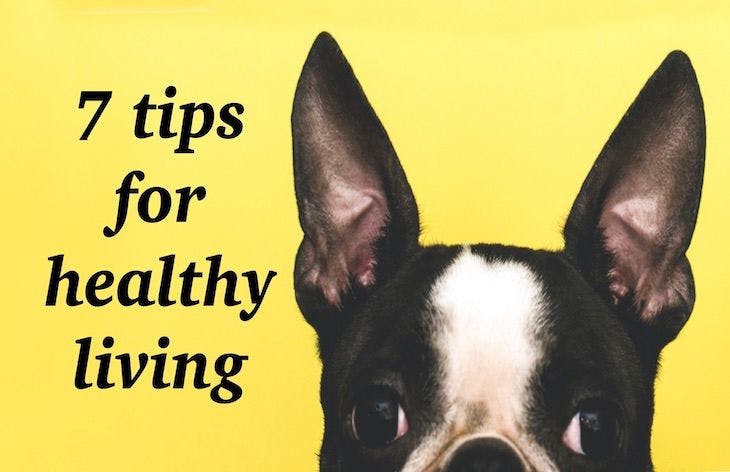 7 tips for healthier living 