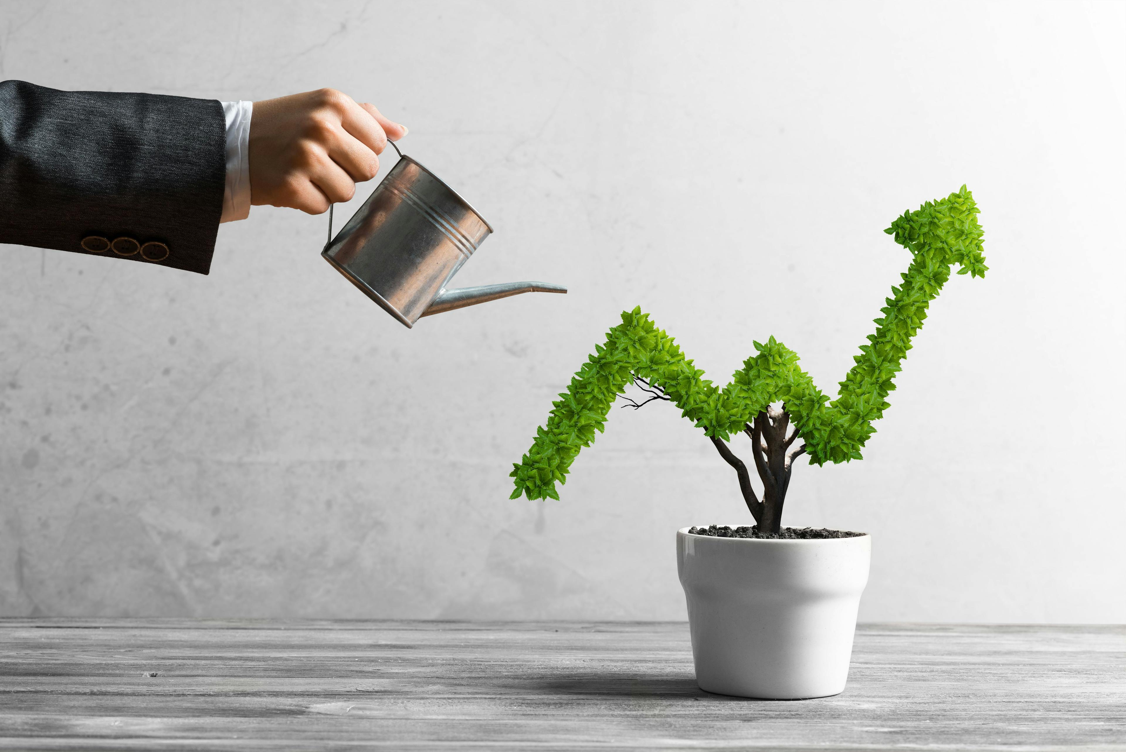4 ways to boost your practice’s profits in the fourth quarter
