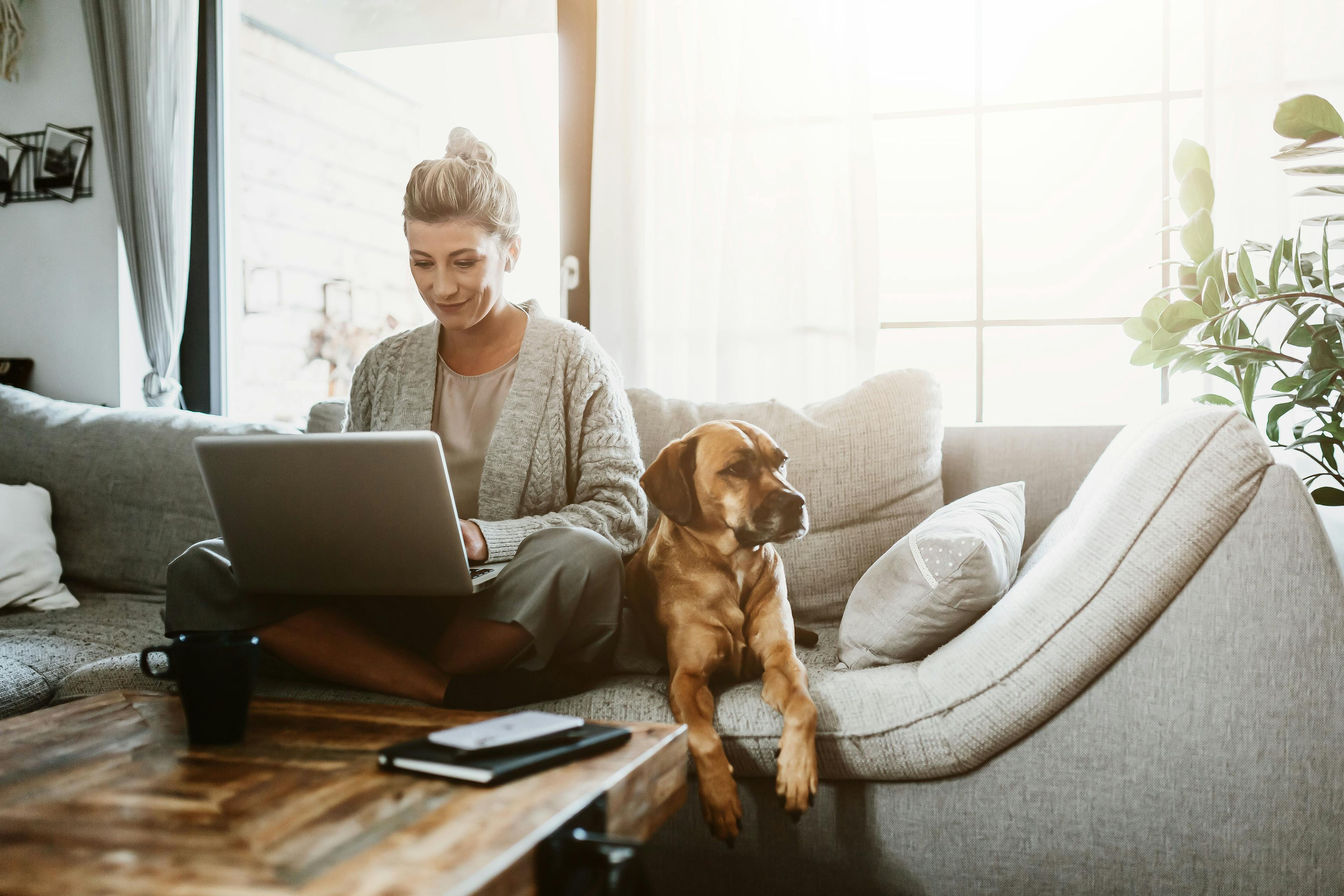 woman sits on couch with laptop and dog | © MT-R - stock.adobe.com